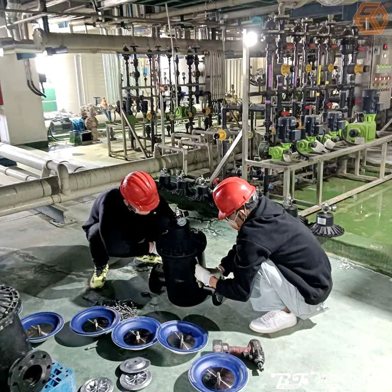 1703756896-1965.jpg 1703756896-1965.jpg