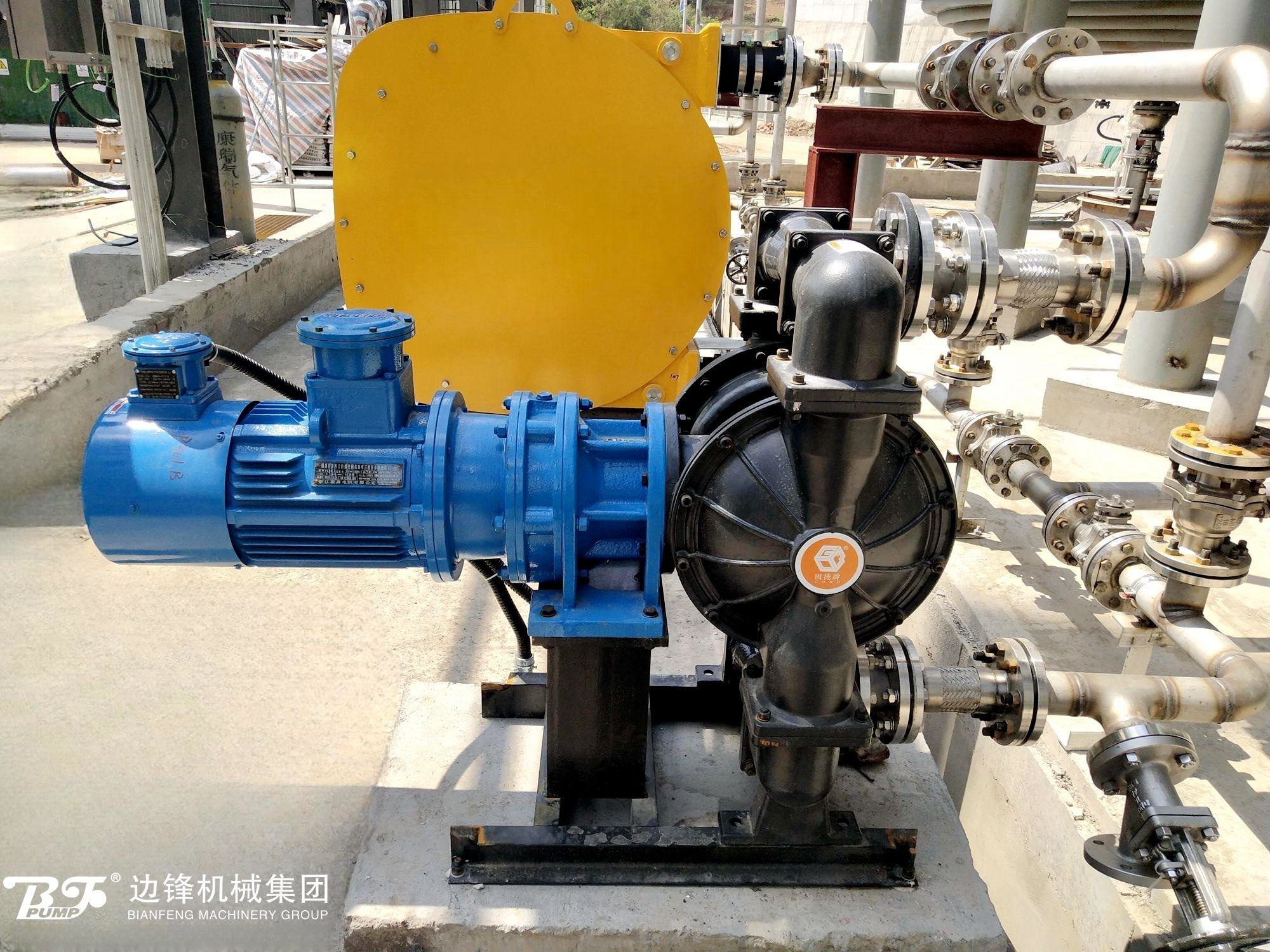 1713406417-8659.jpg 1713406417-8659.jpg