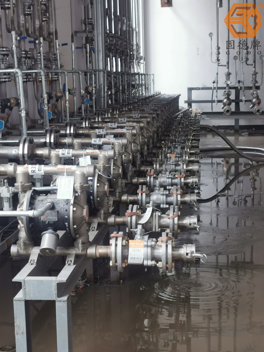 1715907187-2367.jpg 1715907187-2367.jpg