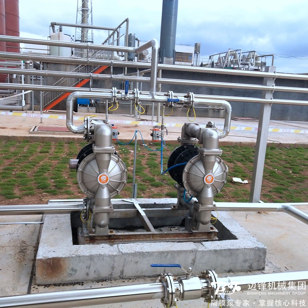 1716187503-2762.jpg 1716187503-2762.jpg