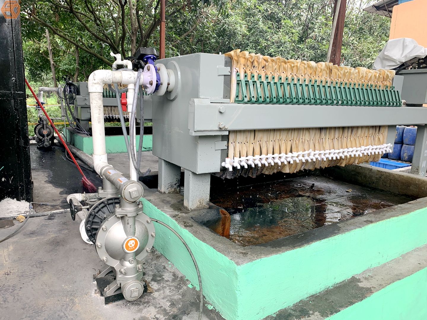 1717722802-2179.jpg 1717722802-2179.jpg