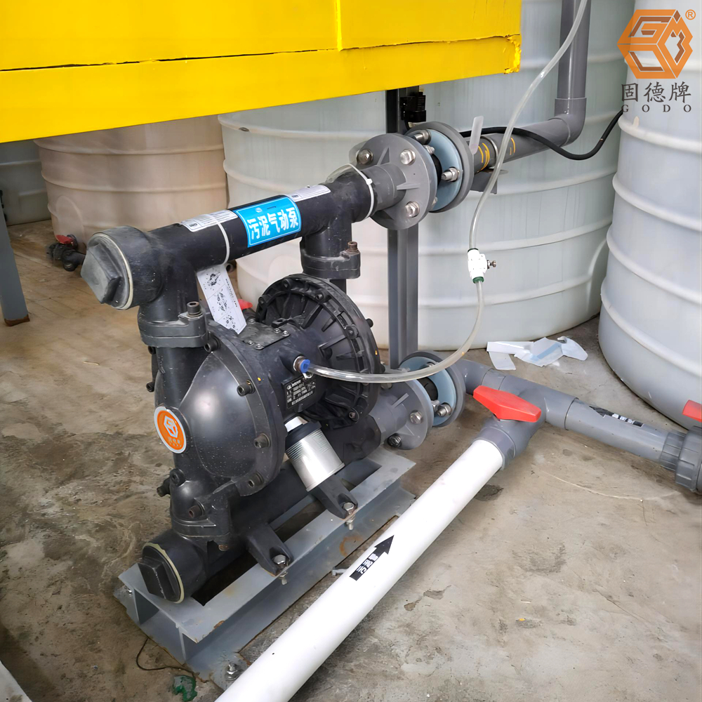 1718676008-8382.jpg 1718676008-8382.jpg