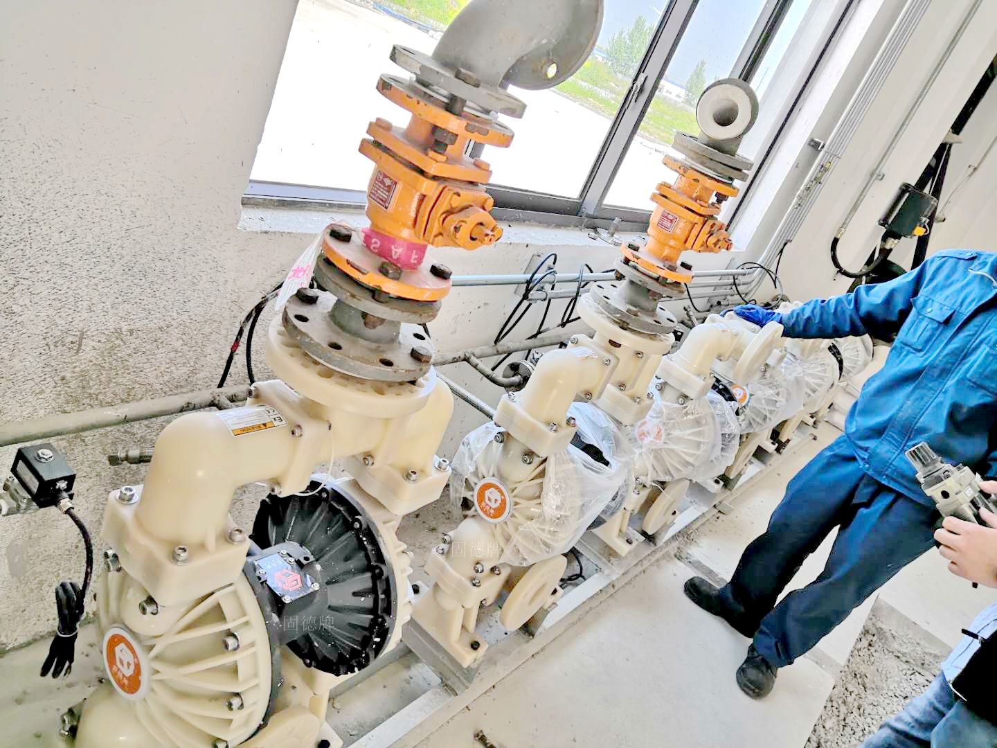 1719279754-4219.jpg 1719279754-4219.jpg