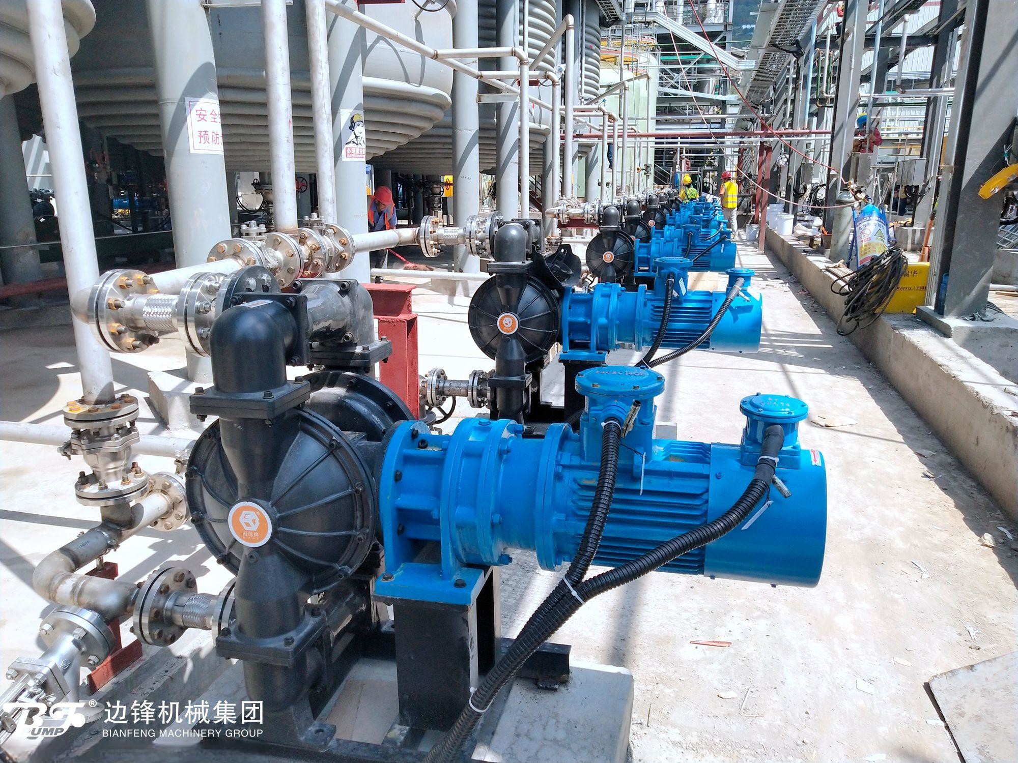 1720663039-4292.jpg 1720663039-4292.jpg