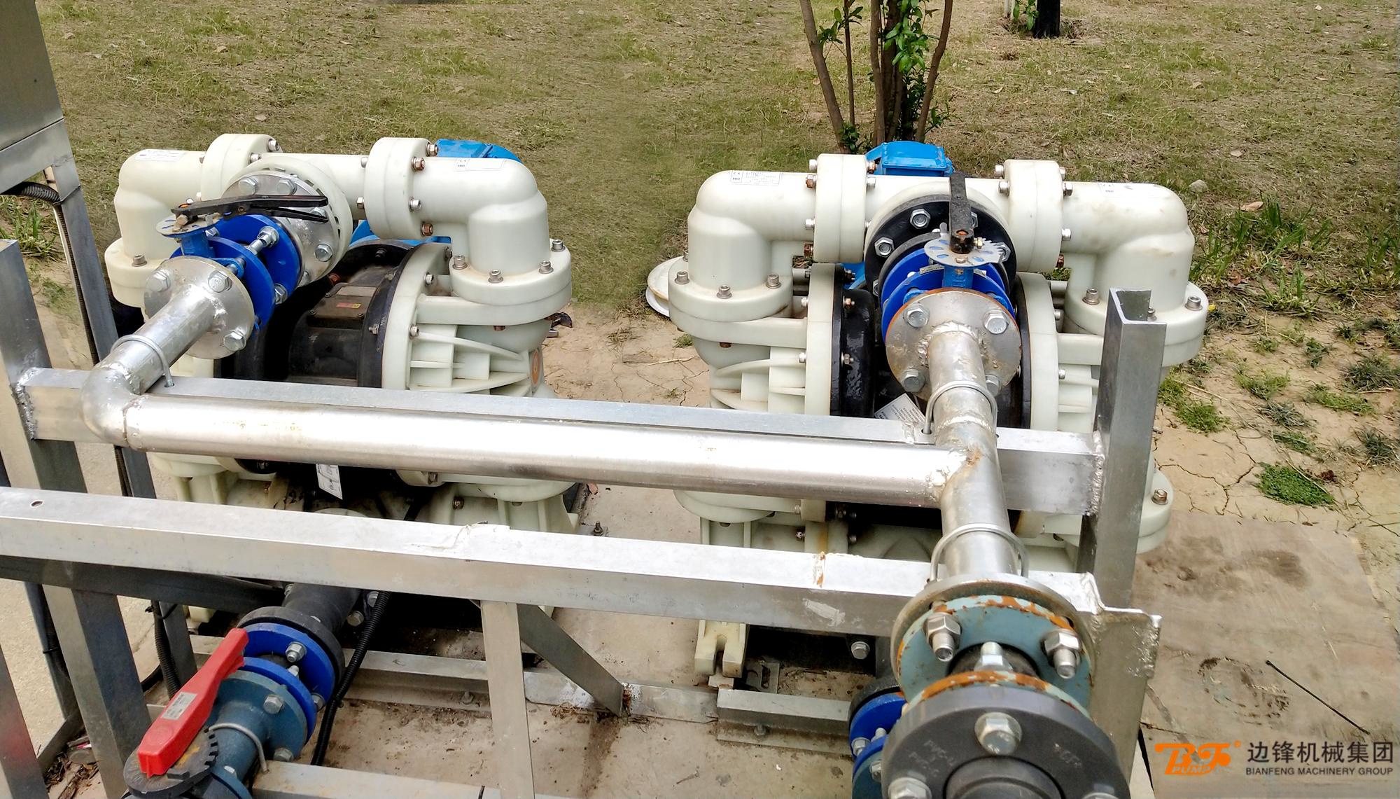 1720746678-3657.jpg 1720746678-3657.jpg