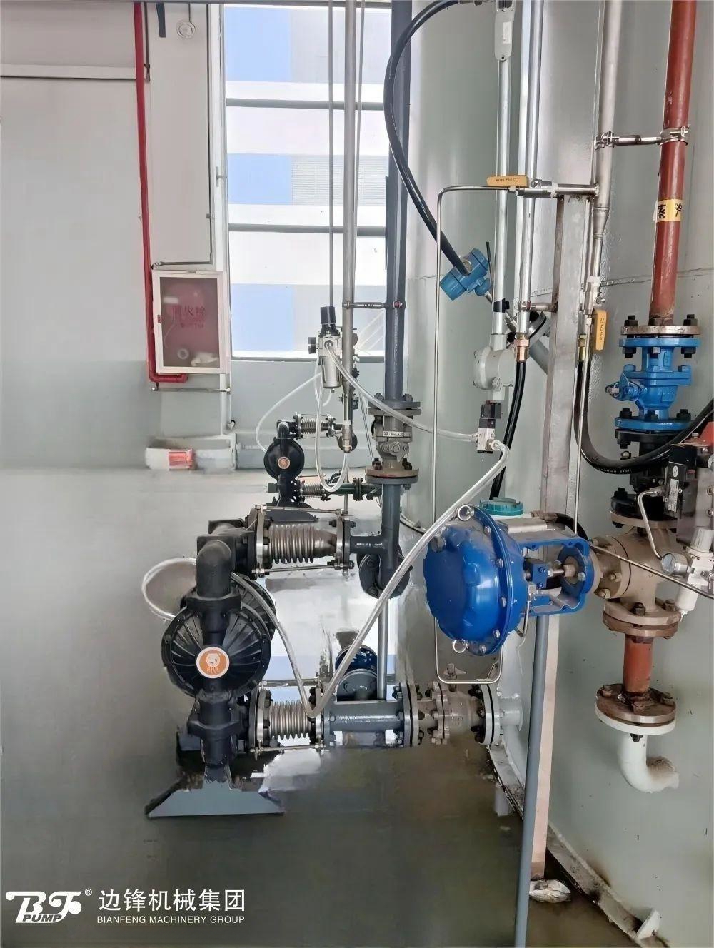 1721091213-6938.jpg 1721091213-6938.jpg