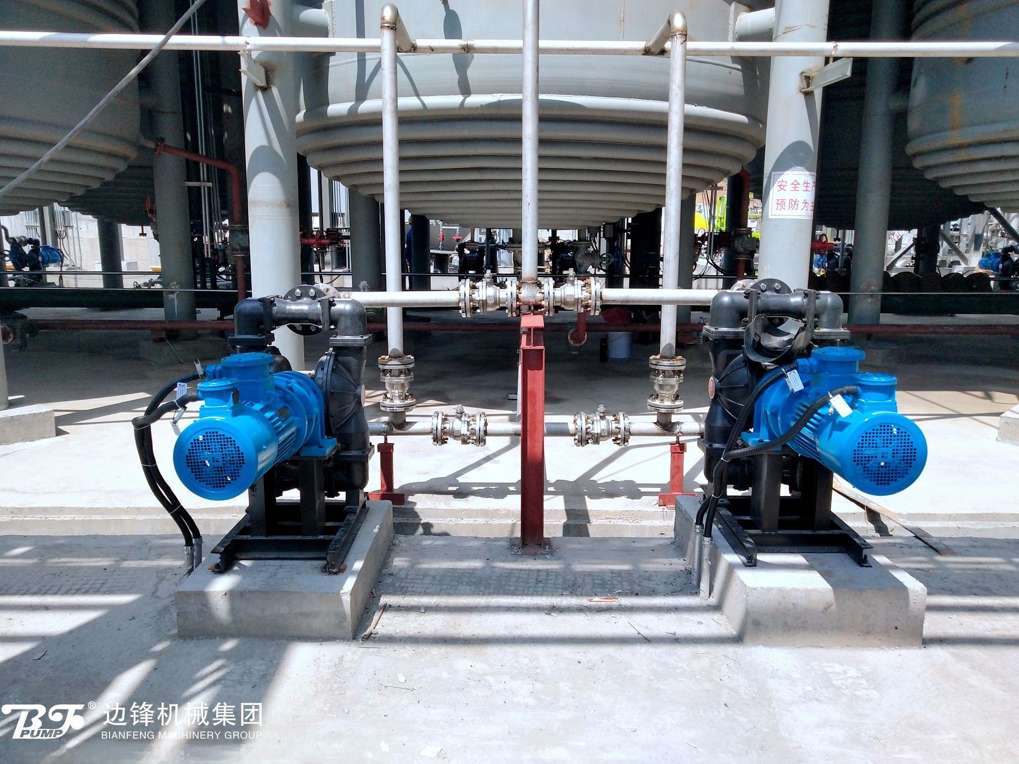 1721956787-6920.jpg 1721956787-6920.jpg