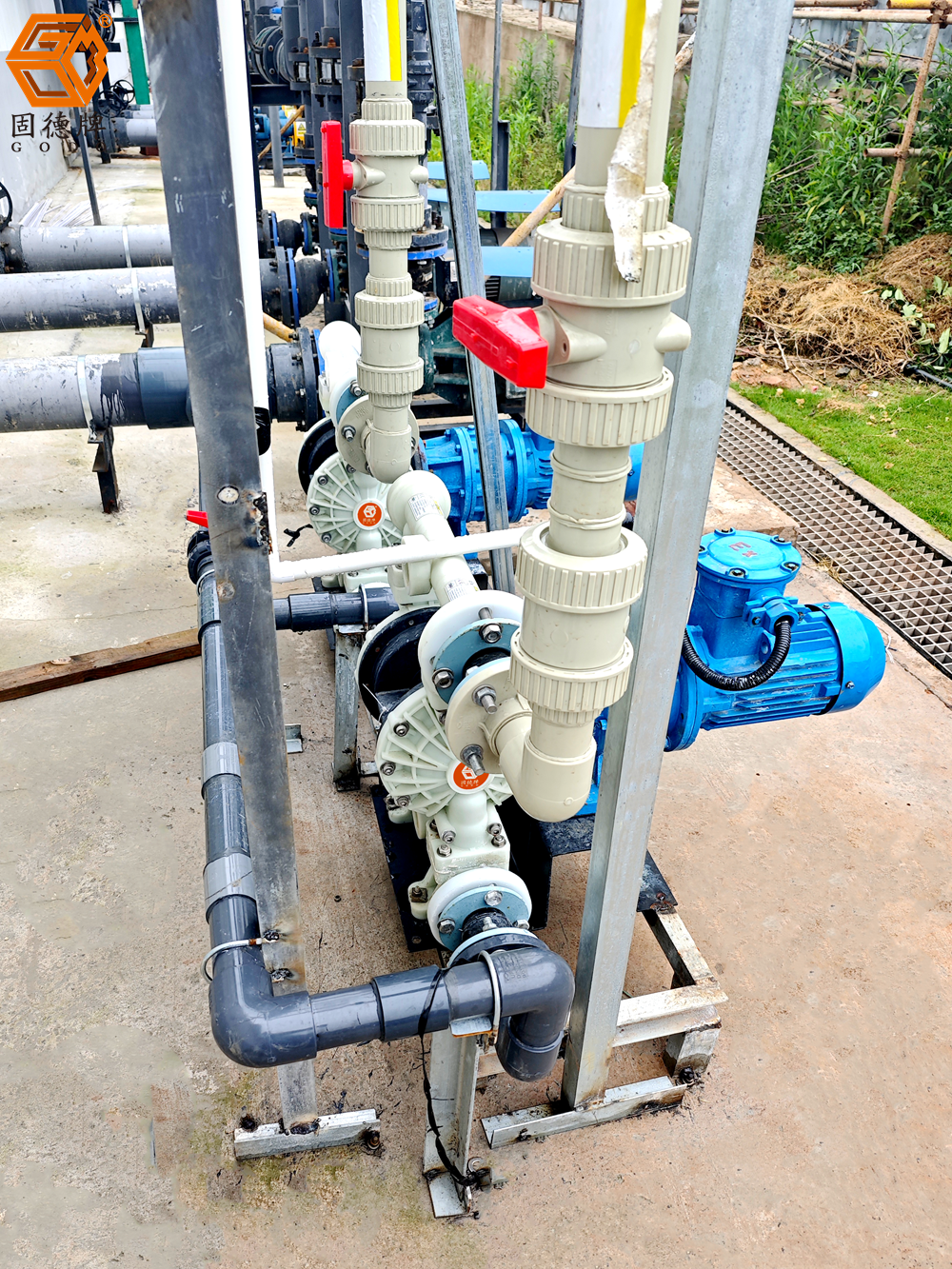 IMG_20240603_102243(1) IMG_20240603_102243(1)