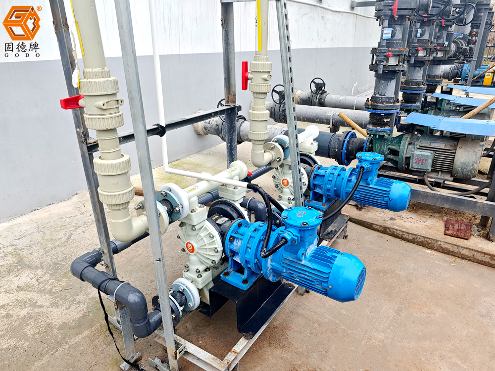 IMG_20240603_102238(1) IMG_20240603_102238(1)