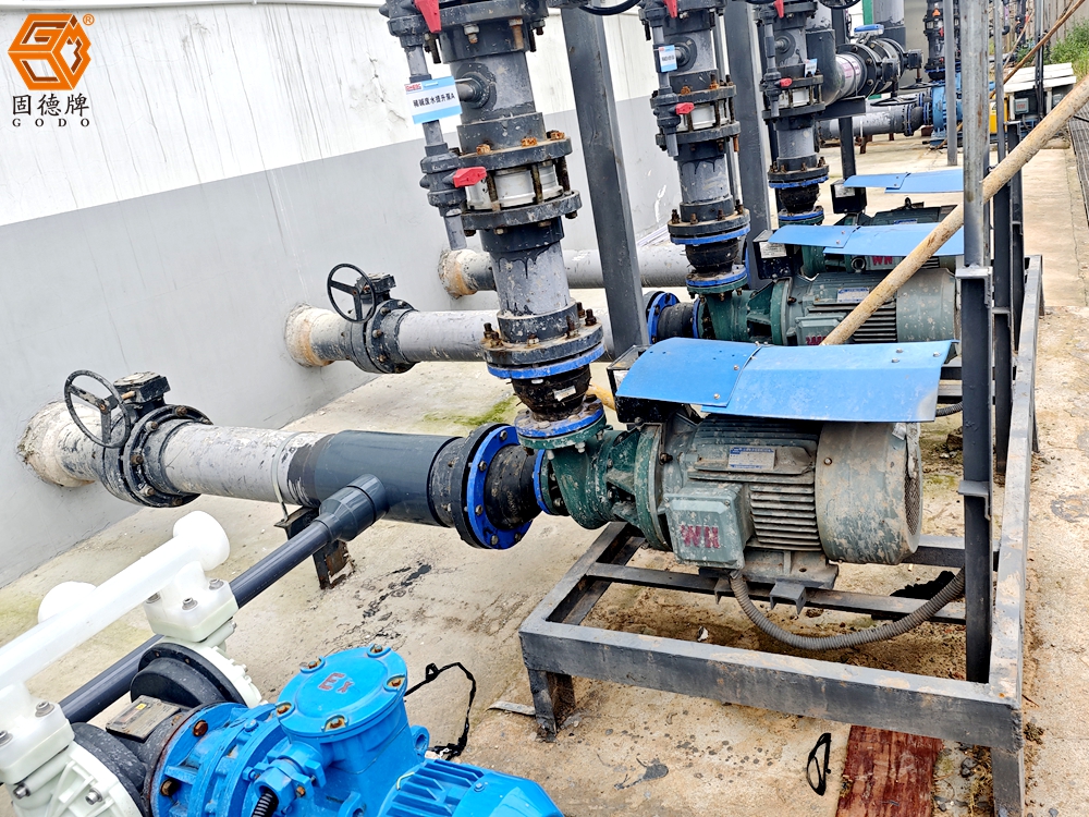 IMG_20240603_102248 IMG_20240603_102248