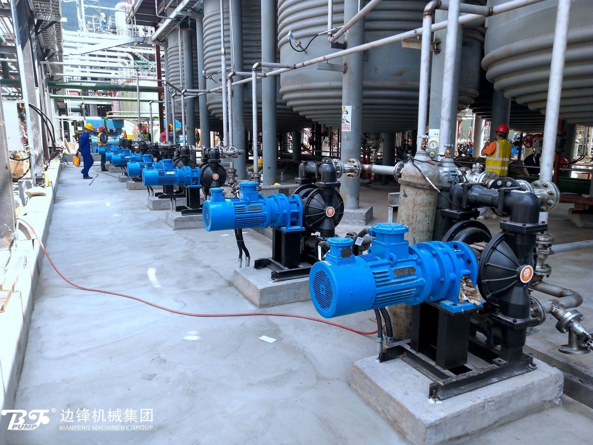 1725242159-3978.jpg 1725242159-3978.jpg