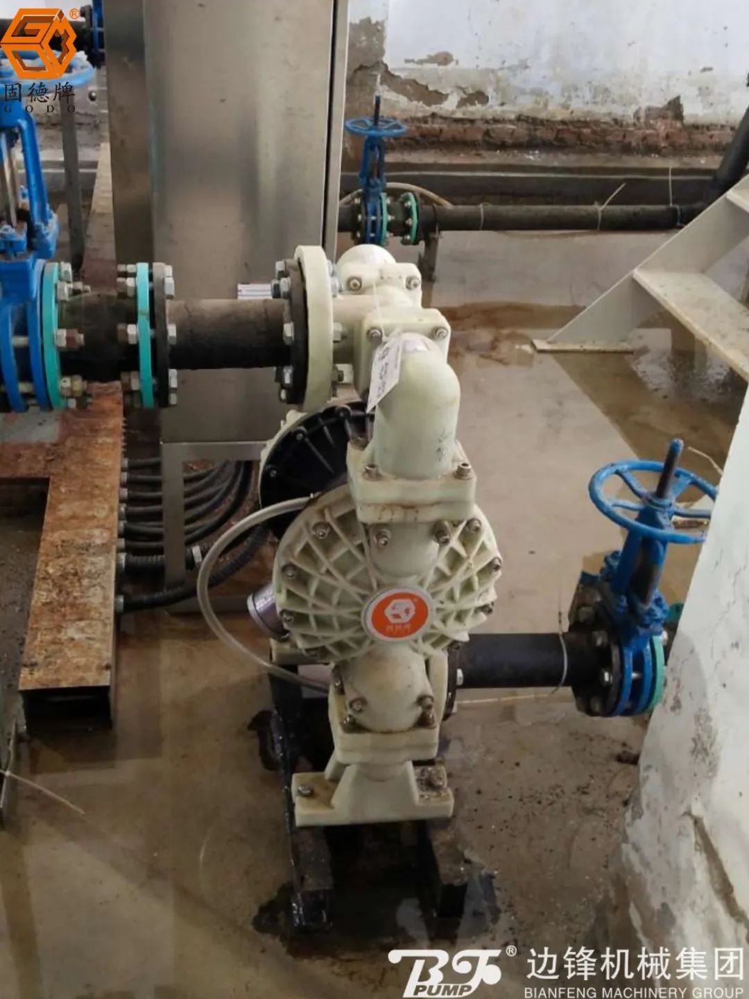 微信圖片_20240527100834 微信圖片_20240527100834