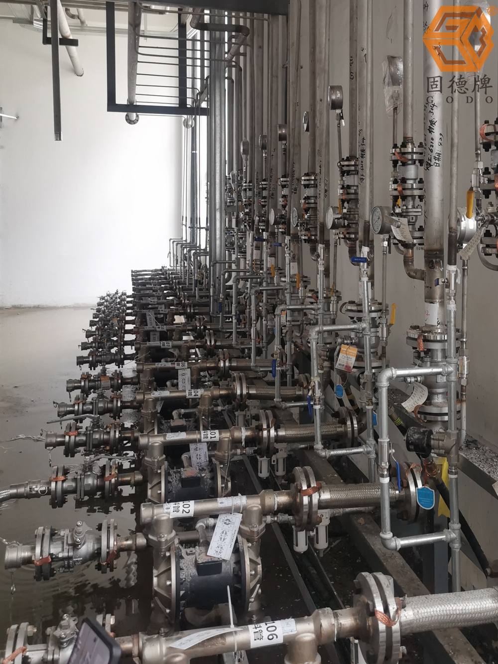 IMG_20240403_143643 IMG_20240403_143643