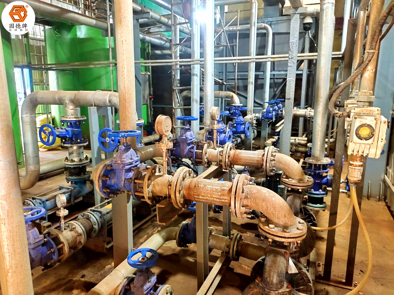 IMG_20230905_103207 IMG_20230905_103207